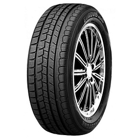 Зимние шины Роудстоун EUROVIS ALPINE WH1 195/6016 89H